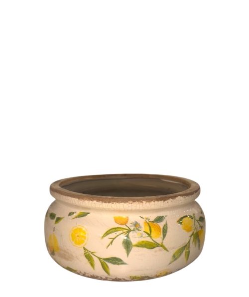 Flower Pot 23 x 23 x10 cm