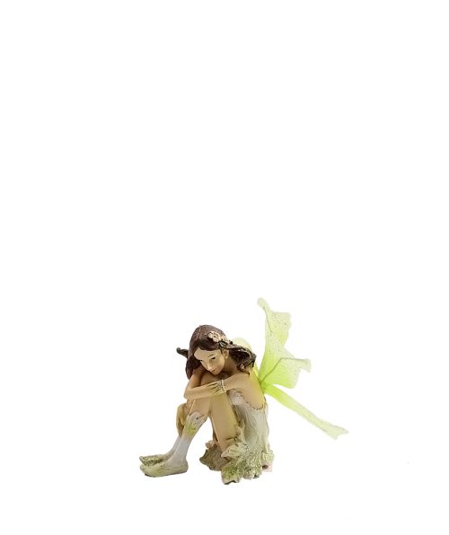 Fairy