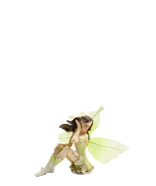 Fairy