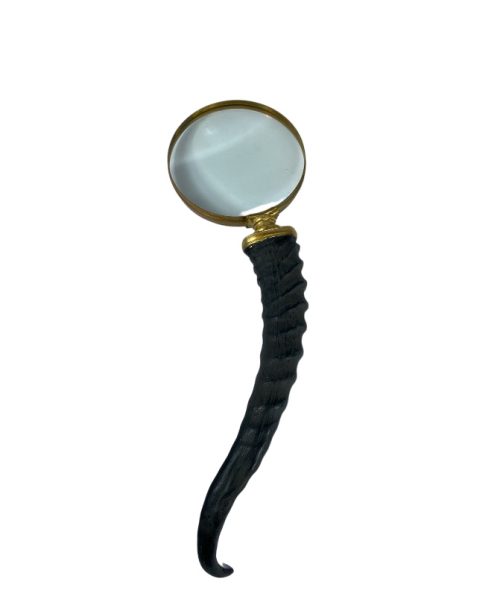 Horn Magnifier