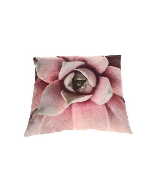 Padded Cushion