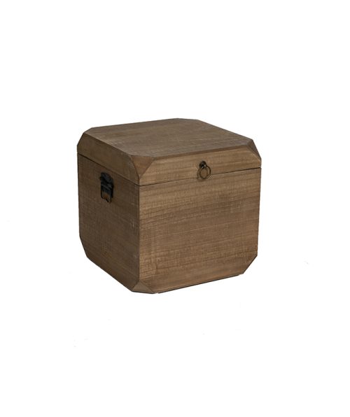 Trunk - Large