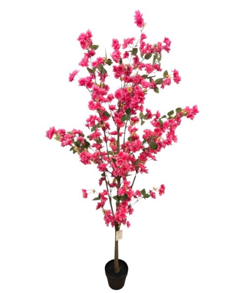 Cherry Tree 180 cm