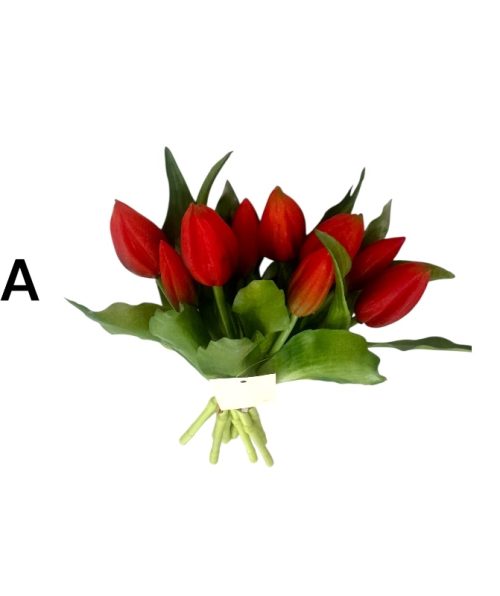 Tulips - 7 Colors