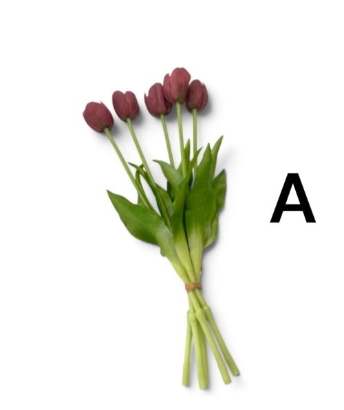 Tulips - 7 Colors