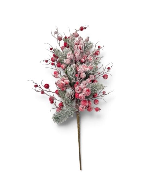 Christmas Flower