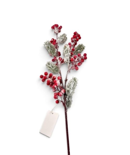 Christmas Flowers