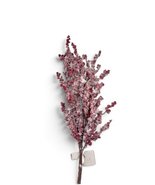Christmas Flower