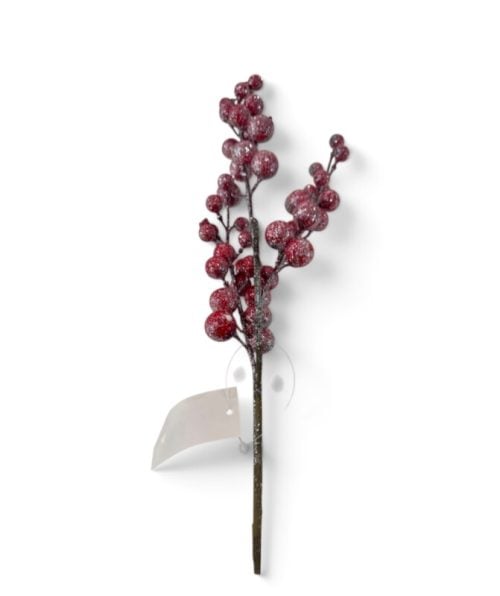 Christmas Flower