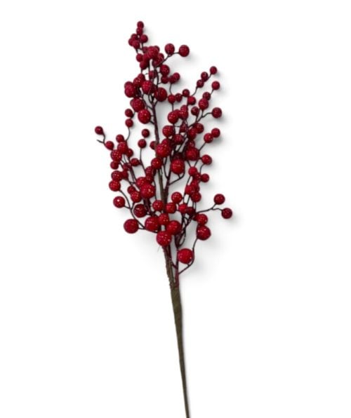 Christmas Flower
