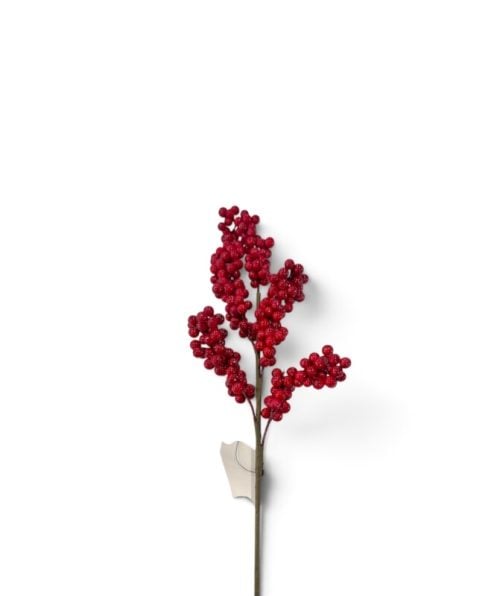 Christmas Flower