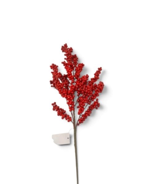 Christmas Flower