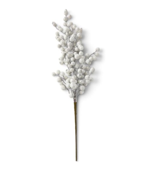 Christmas Flower