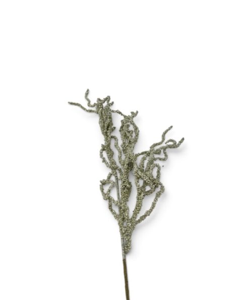 Christmas Flower