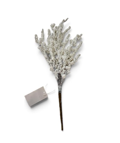 Christmas Flower