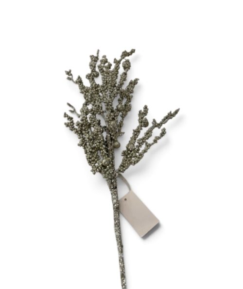 Christmas Flower