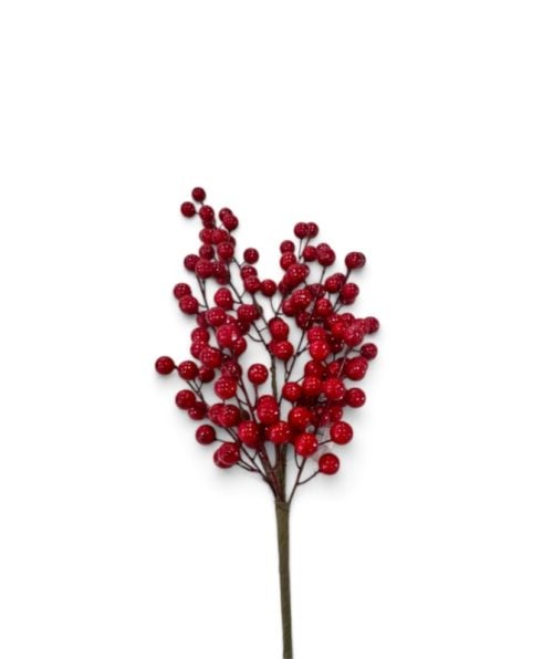 Christmas Flower