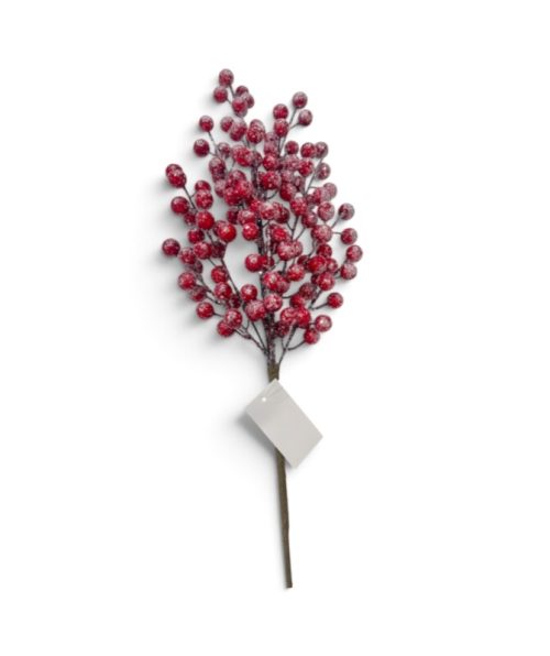 Christmas Flower
