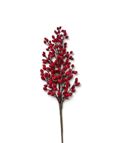 Christmas Flower