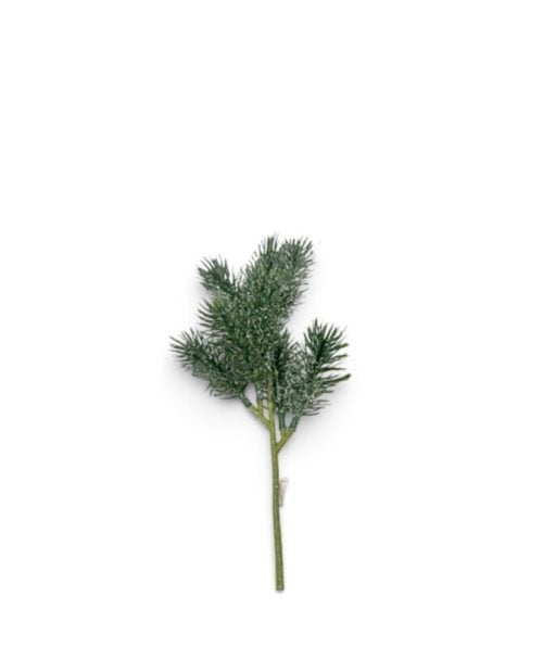 Christmas Flower