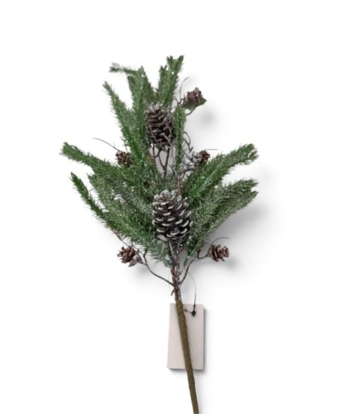 Christmas Flower