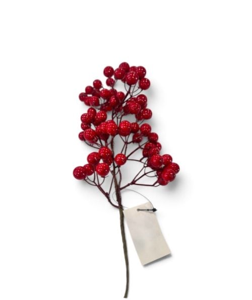 Christmas Flower