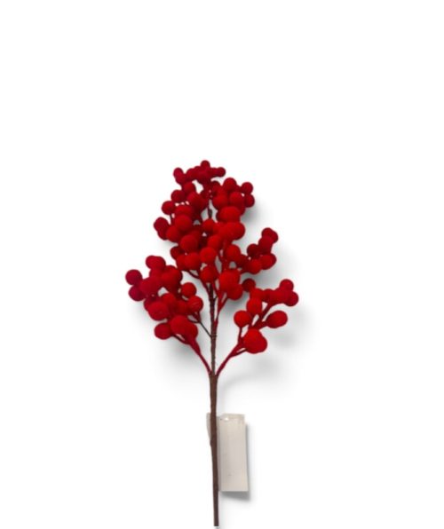 Christmas Flower