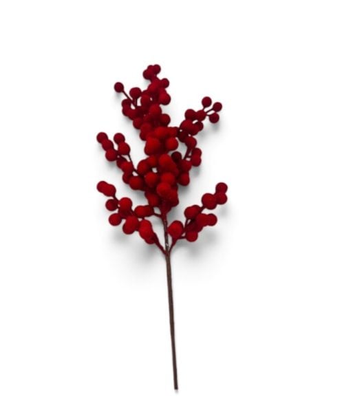 Christmas Flower