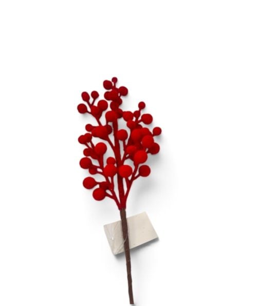 Christmas Flower