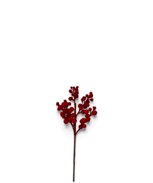 Christmas Flower