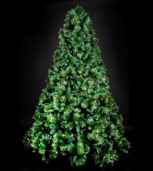 Evergreen Royale - 270 CM XMAS TREE WITH 3025 TIPS