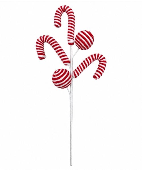 Xmas Flower